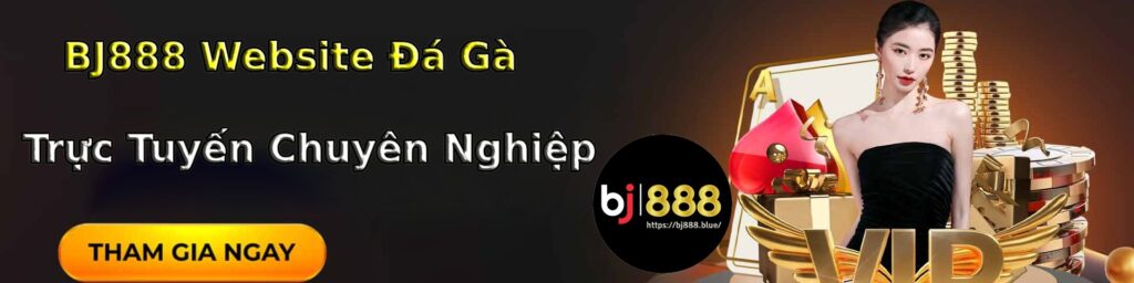 BJ888 banner