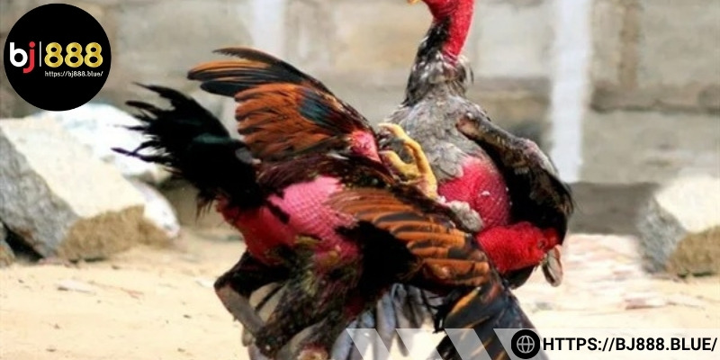 Dùng thuốc chuẩn – Tăng hiệu quả điều trị