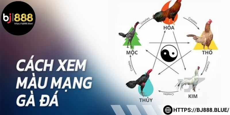 Hiểu đúng quy luật ngũ hành để xác định màu mạng chiến kê chuẩn xác
