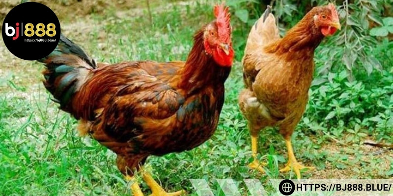 Nghỉ ngơi giúp hồi phục thể lực, ổn định tinh thần